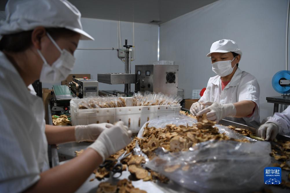 开户送体验金不限id